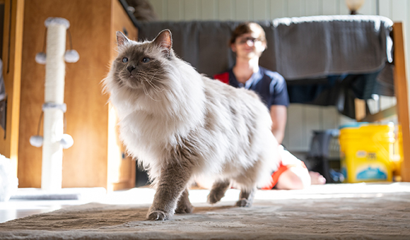 Hunter and Isaac get comfortable in their new Pet Wing room.