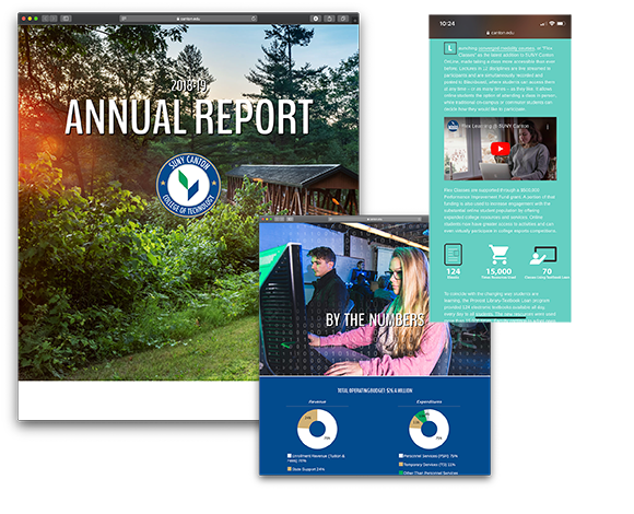 Screenshots of the 2018-19 Annual Report
