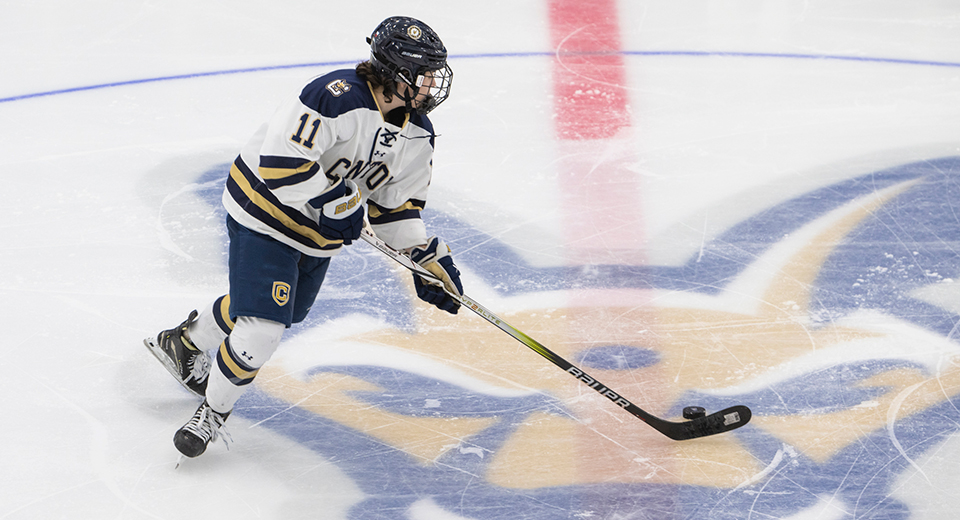 A men's hockey player handles a puck at center ice.