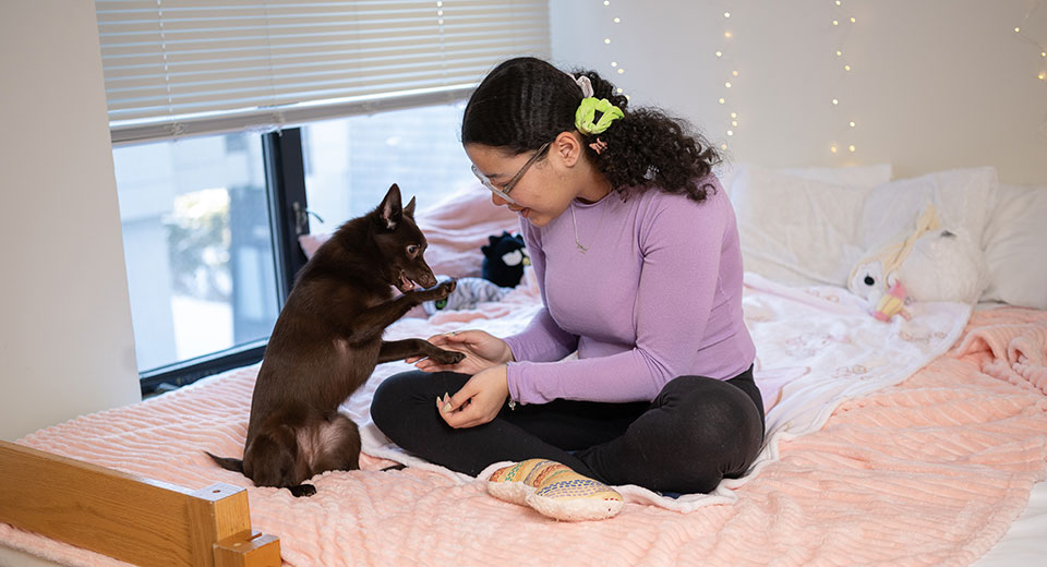 A student plays with her puppy in a residence hall room.